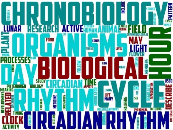 Chronobiology Wordart Banner: A Creative Tool for Inspiration and Design