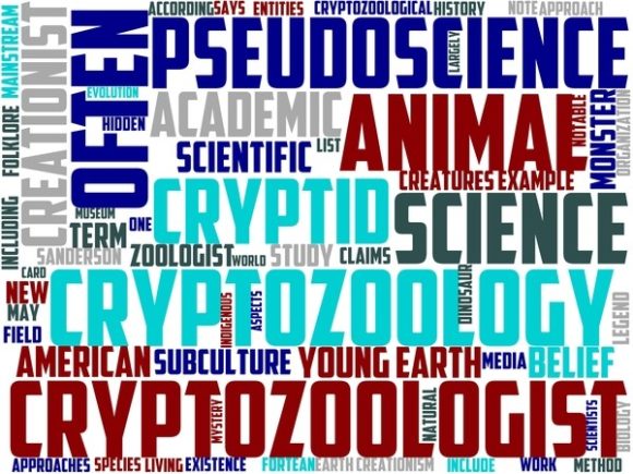 Cryptozoology Wordart Print: A Creative Resource for Designers and Entrepreneurs