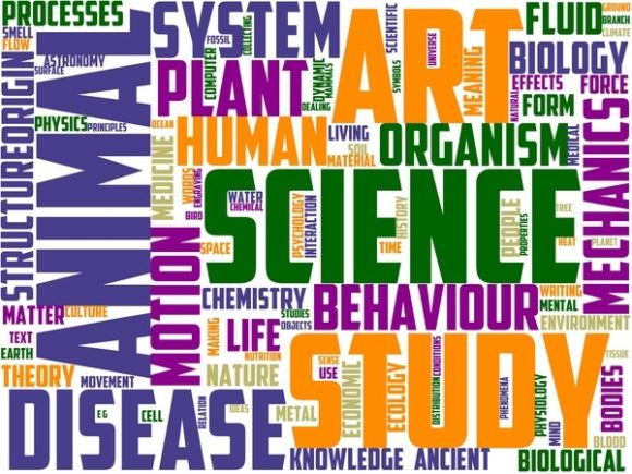 Diplomatology Wordart Sticker – A Versatile Design Tool for Creative Projects