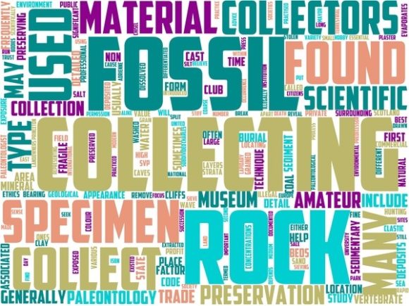 Discover the Beauty of Fossil Hunting Wordart: A Versatile Design for Creativity and Expression