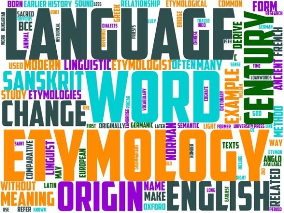 Entomology Wordart Tshirt: A Creative Tool for Designers and Enthusiasts
