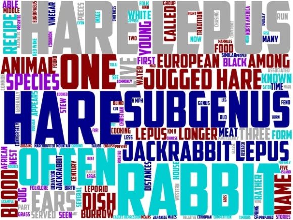 Harlem Wordart Banner: A Beautiful Hand Drawn Colorful Wordcloud for Creative Projects