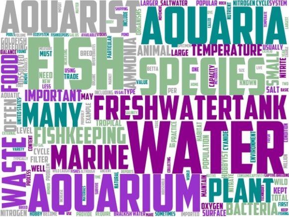Transforming Creativity: The Role of Fishkeeping Wordart Wallpaper in Modern Design